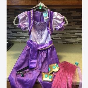 Child’s Dress-Up Costume: Jasmine or Shimmer&Shine